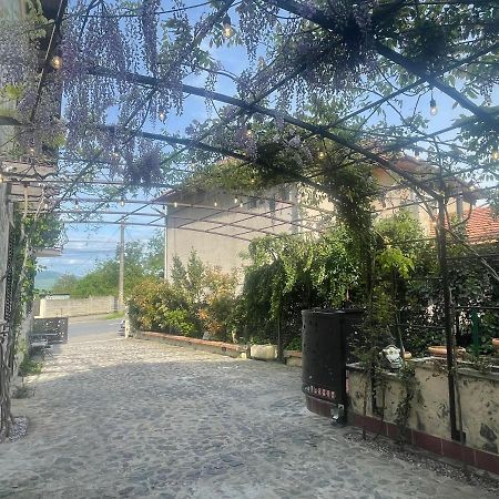 Luxury House Teodora Villa Deva Buitenkant foto